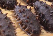 海參不能和什么一起吃？