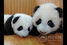 以為有黑眼圈就是睡眠不足？很多人都錯(cuò)了