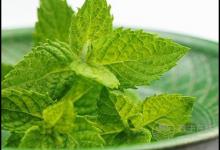 喉嚨不舒服,吃這4種食物有“奇效”