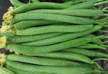 養(yǎng)生專家：女孩經(jīng)常吃絲瓜，4個(gè)好處找上門