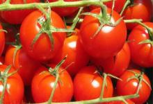 想要身體排毒，就常吃4種水果