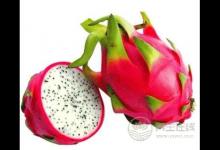 降壓食物有哪些？