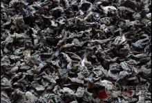 8月份的養生蔬菜有哪些？看看有沒有你喜歡吃的