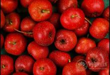 口臭、口腔常有異味,常吃冰箱里的這幾種食物,能緩解