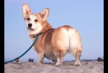 5得了痔瘡怎么治?這么做最有效!