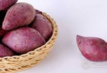 來了解一下，紫薯不能和什么一起吃