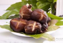 抽煙的人一定要看:4種清肺食物幫助保護您和家人的肺