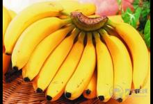 【養生禁忌】香蕉熟透才潤腸 生香蕉反致便秘