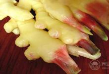 沒想到，生姜還有這么多品種，你都認齊了嗎