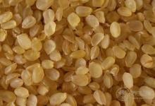 皂角米的功效與作用及注意事項