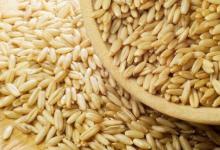 4種“換血食物”,每天吃一吃,血液越來越干凈