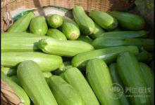 經常吃西葫蘆，有這些好處