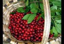 常吃7種食物,抗皺美容更顯年輕