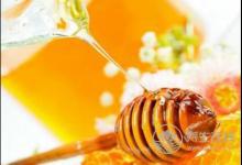 蜂蜜的功效你了解多少？