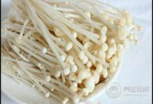 常吃金針菇,好處有這些,你懂嗎?