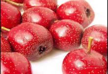 山楂作用大，對身體有這些好處，很多人卻不懂