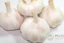 7種“換血”食物，每天吃一種身體棒棒的！