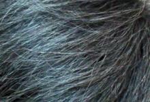 想要白發變黑發，需要做好5點