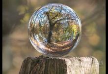 6月易上火？這些食療方能幫你清熱去火