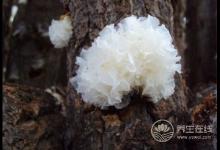 保養有護膚品還不夠!多吃下面幾種食物,比護膚品有用