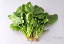 每天吃一點它，很難患上癌癥，別說沒告訴你哦！