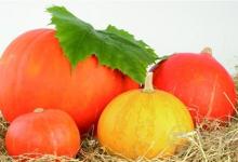 什么人不宜吃南瓜?