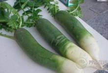 日常生活中常見(jiàn)的相克食物大全