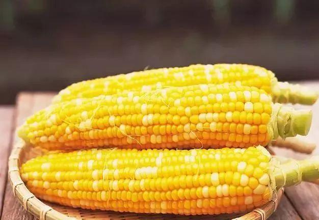 有哪些可以代替米飯的減肥主食？