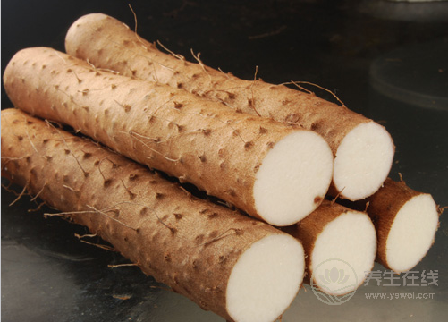 日常吃什么最養胃?多吃這3種食物,把胃調理好 日常吃什么最養胃?多吃這3種食物,把胃調理好