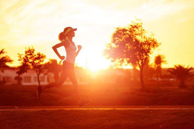 運動比藥物更能減少內臟脂肪 運動比藥物更能減少內臟脂肪