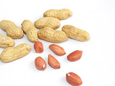 怎樣煮花生才能讓花生不容易變黑