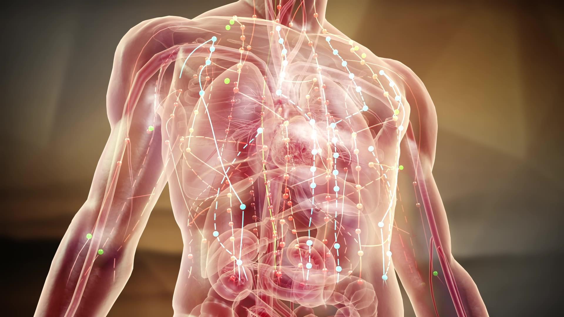 經(jīng)絡(luò)堵塞的話如何能夠快速疏通全身 經(jīng)絡(luò)堵塞的話如何能夠快速疏通全身