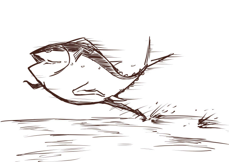 腌咸魚的幾種做法和腌咸魚的家常做法大全