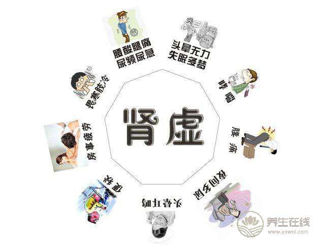 腎虛不可不知的食療方子 腎虛不可不知的食療方子