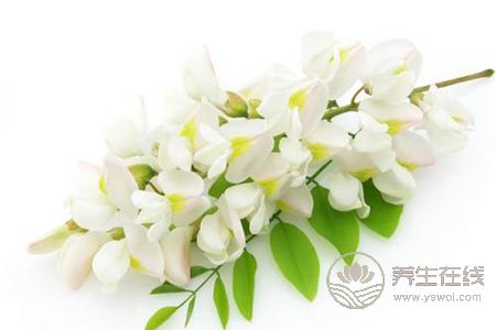 槐花有哪些藥用價值? 槐花有哪些藥用價值?