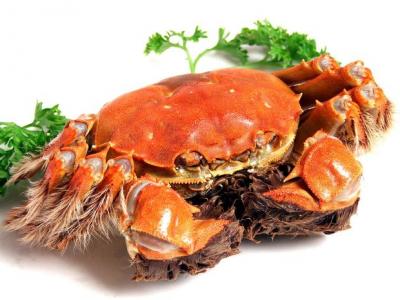 大閘蟹寒涼怎么吃可以中和掉寒涼