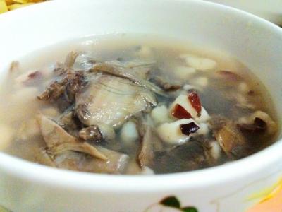 冬蟲夏草燉鴨子的營養功效與作用