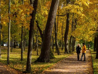 怎么運(yùn)動(dòng)才能增加骨密度？4個(gè)散步技巧搭配氨糖能護(hù)骨！