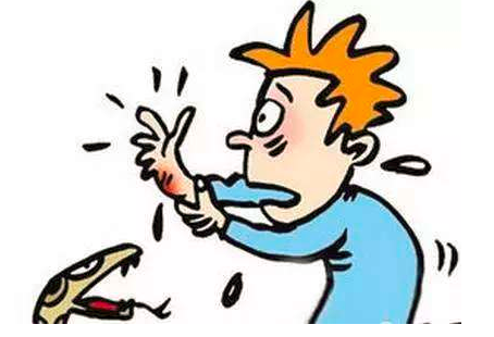 生活中當不小心被蛇咬了需要用哪些草藥