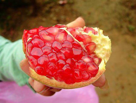 石榴的養生功效石榴和什么搭配榨汁 石榴的養生功效石榴和什么搭配榨汁