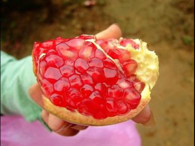 石榴的養(yǎng)生功效石榴和什么搭配榨汁