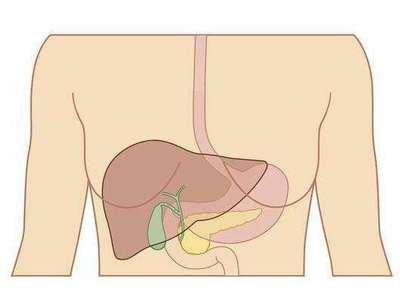 肝功能的常見的檢查項目有哪幾種 肝功能的常見的檢查項目有哪幾種