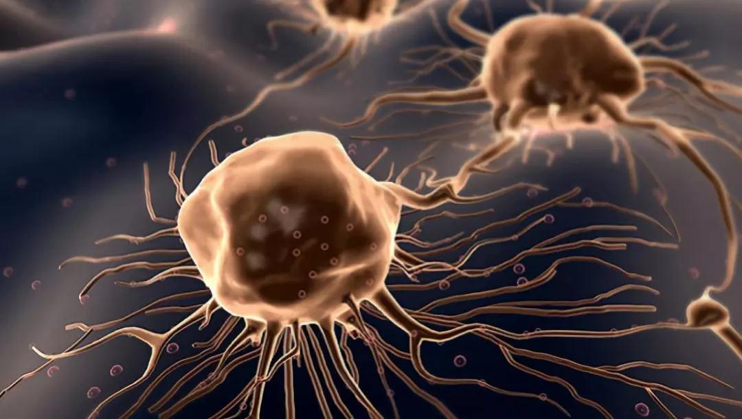 鼻子內部如果出現腫瘤會有哪些癥狀