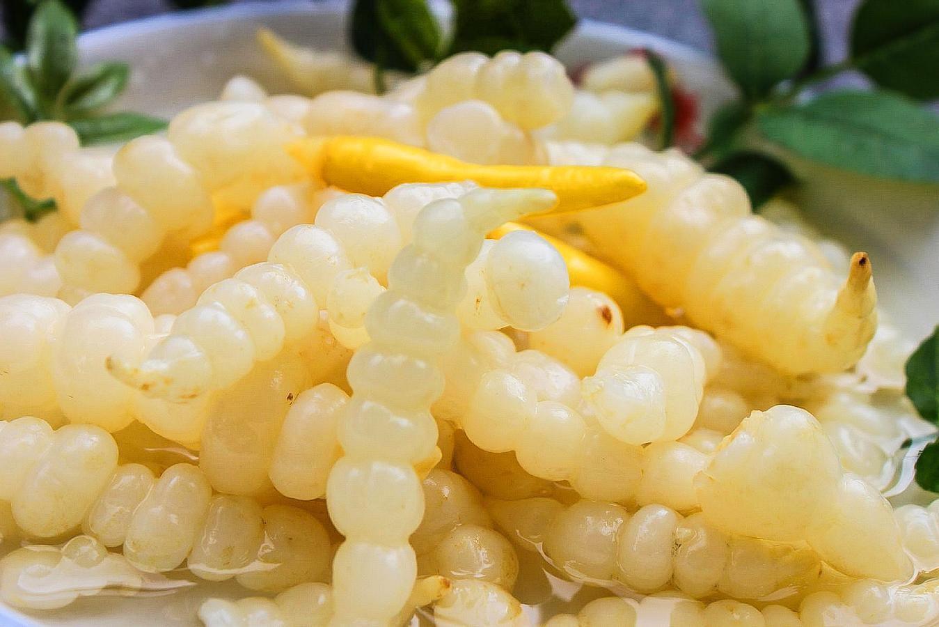 我們平時經常吃的地環是否可以生吃呢