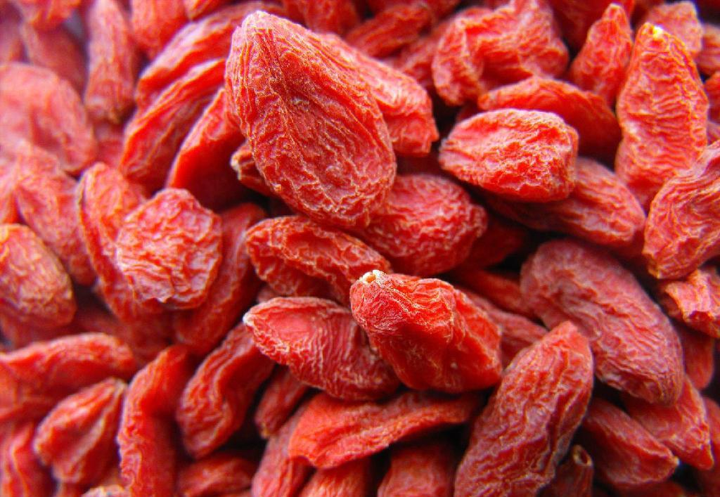 服用枸杞對于身體有哪些方面的好處-易網(wǎng)健康<a href=http://www.xllyou.com/jkys/ target=_blank class=infotextkey>養(yǎng)生</a>網(wǎng) 服用枸杞對于身體有哪些方面的好處