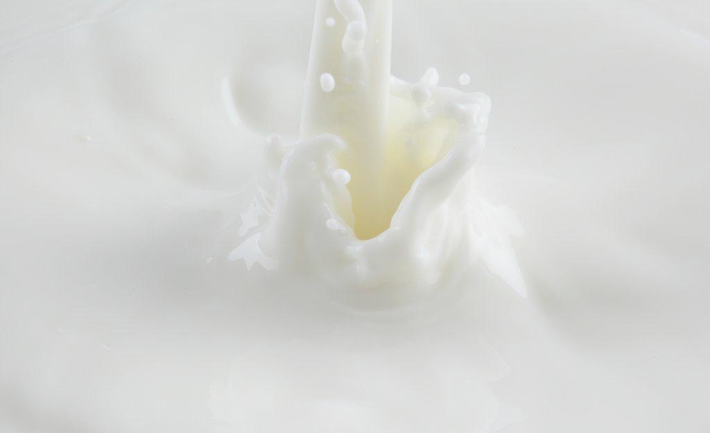 茶和牛奶需要間隔多久長時間之后喝-易網健康<a href=http://www.xllyou.com/jkys/ target=_blank class=infotextkey>養生</a>網 茶和牛奶需要間隔多久長時間之后喝