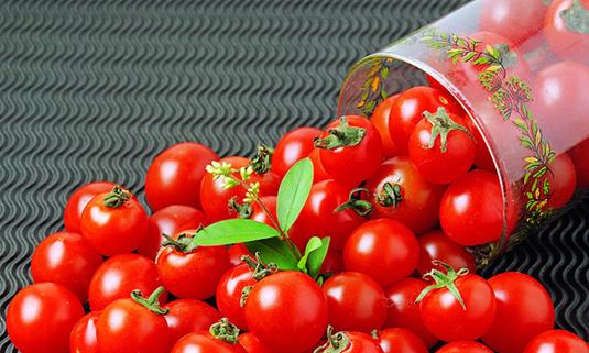 在飲酒之后有效的解酒水果有哪些-易網(wǎng)健康<a href=http://www.xllyou.com/jkys/ target=_blank class=infotextkey>養(yǎng)生</a>網(wǎng) 在飲酒之后有效的解酒水果有哪些