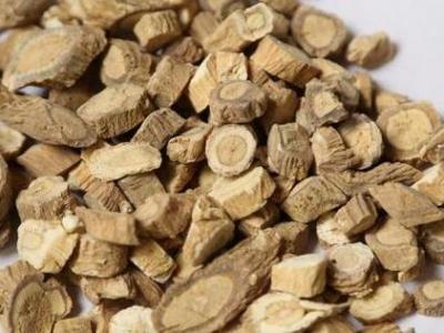 感冒咳嗽時(shí)吃板藍(lán)根有什么樣的效果