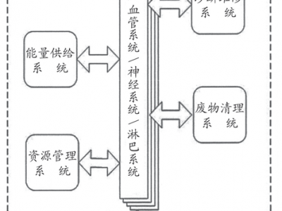 從中醫(yī)西醫(yī)的對比中 看人體的系統(tǒng)奧秘