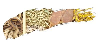 伏天來了 看中醫談養生-易網<a href=http://www.xllyou.com/ target=_blank class=infotextkey>健康養生</a>網 伏天來了 看中醫談養生